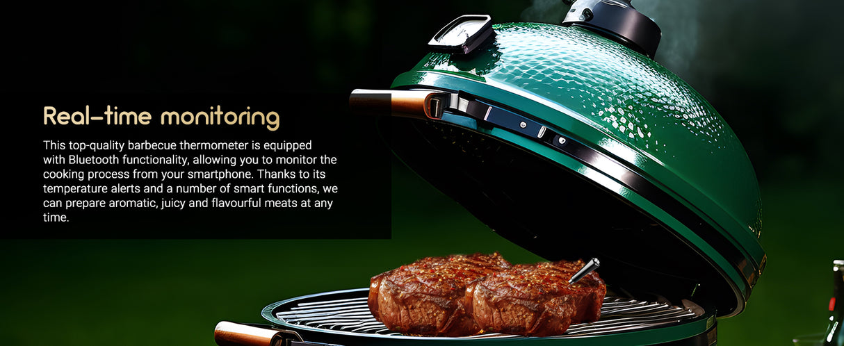 Inkbird langaton paistomittari INT-11P-B