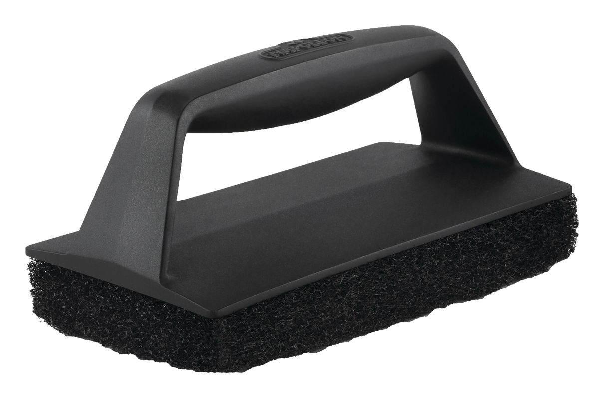 Napoleon puhdistussieni / hankaussieni