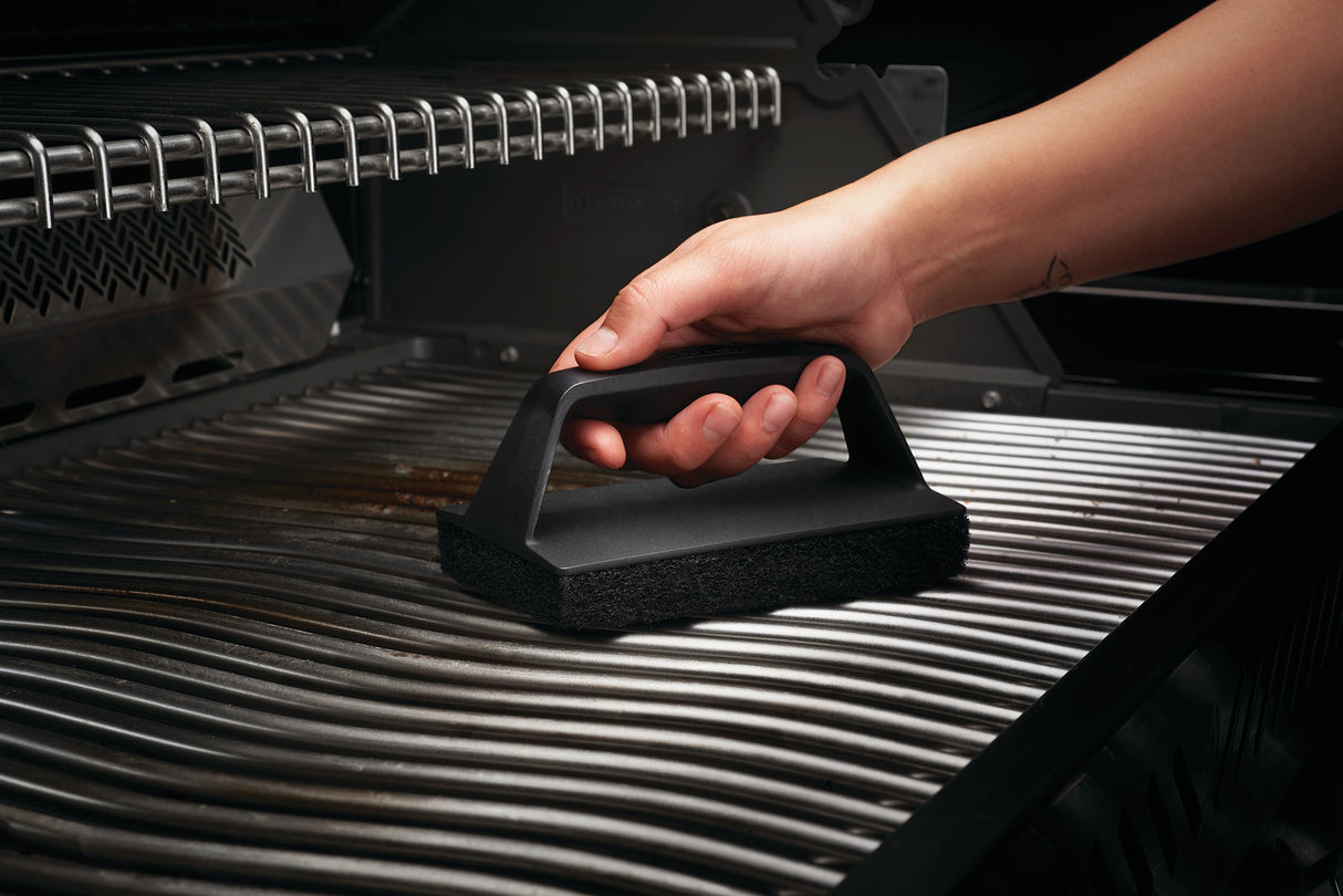 Napoleon puhdistussieni / hankaussieni