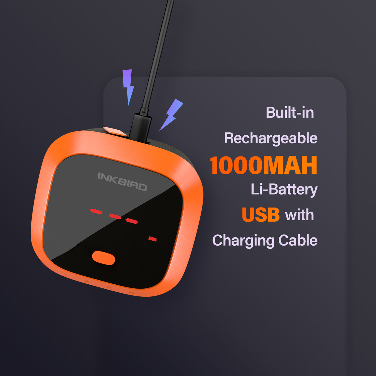 Inkbird paistomittari IBT-4XC