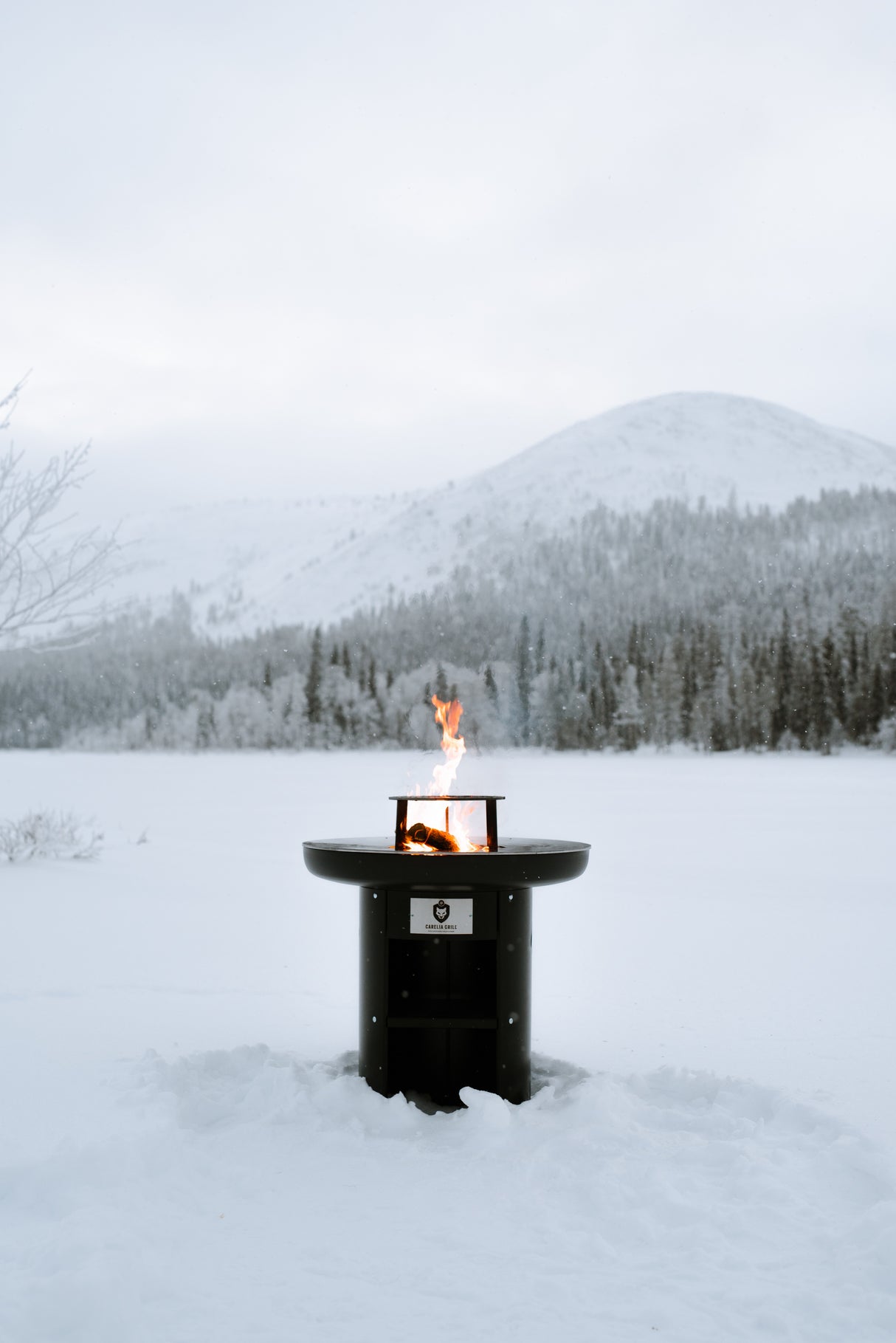 CARELIA GRILL® RONDO PLANCHA-GRILLI