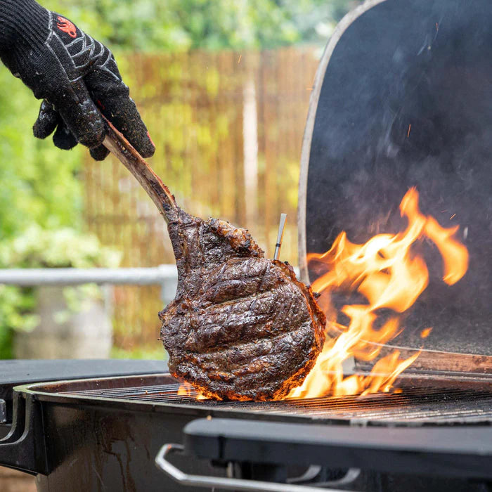 MEATER Pro -paistomittari