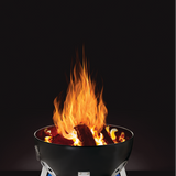 Napoleon Apollo -tulisijana